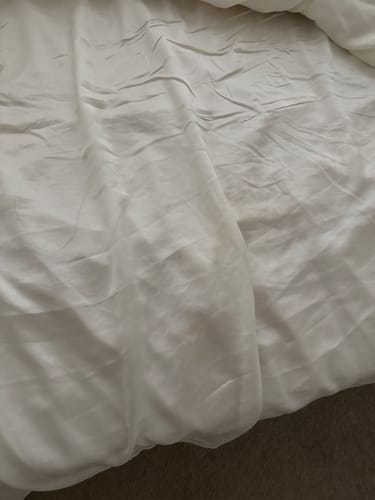 Customer photo review of Atelier Medica Organic Silk Flat Sheet