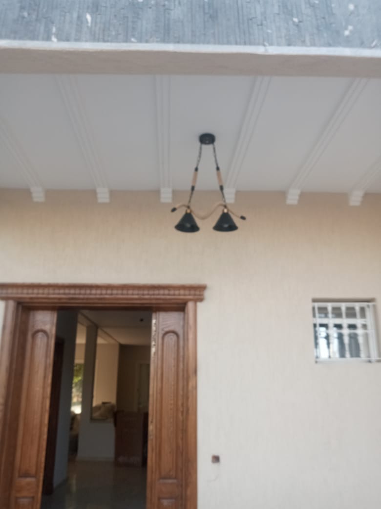 Customer photo review of Suspension MANIA Double