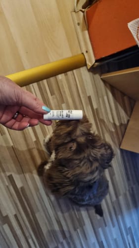 Customer photo review of MyHappyDog Velvet Paw Mancsápoló Stift