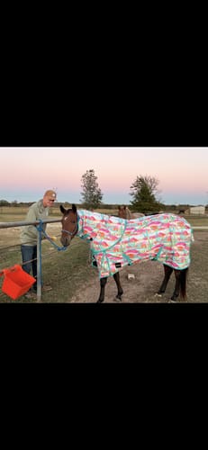 Customer photo review of NEON CACTUS 1200D PERFECT FIT WINTER BLANKET WITH NECK