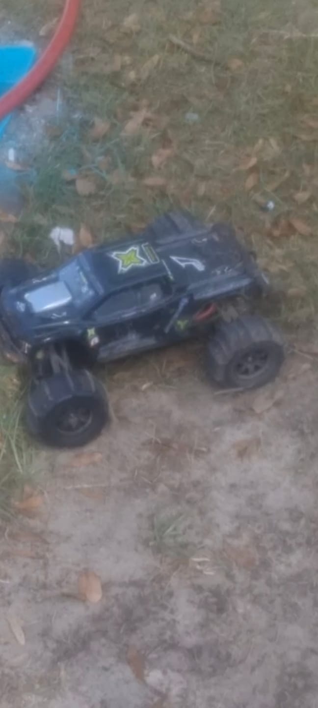 Customer photo review of RC Paddle Tires For RZ001