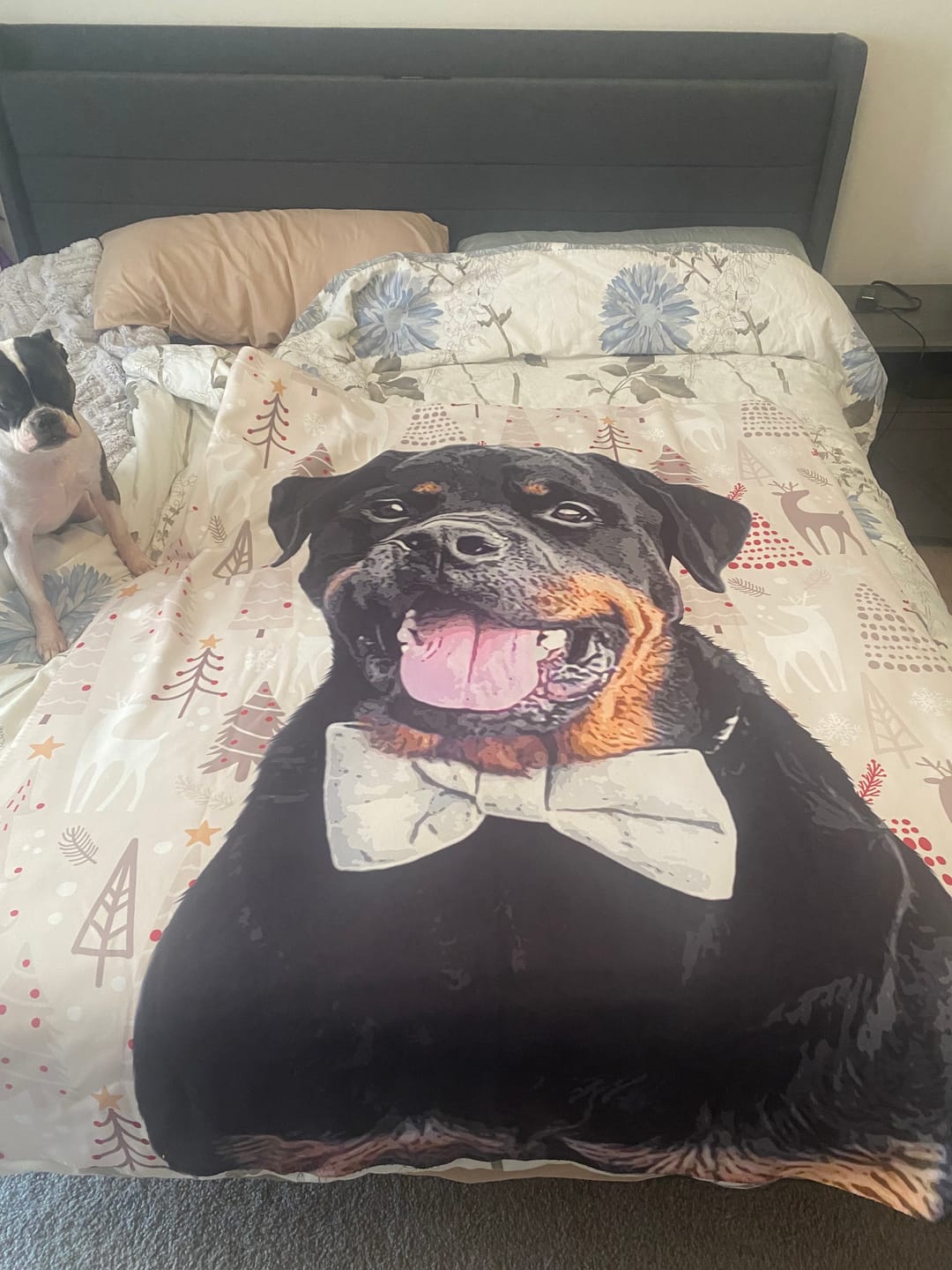 Customer photo review of Custom Pet Art Sherpa Blanket