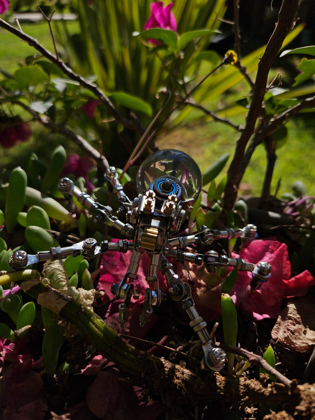 Customer photo review of Crystal Lamp Jumping Spider