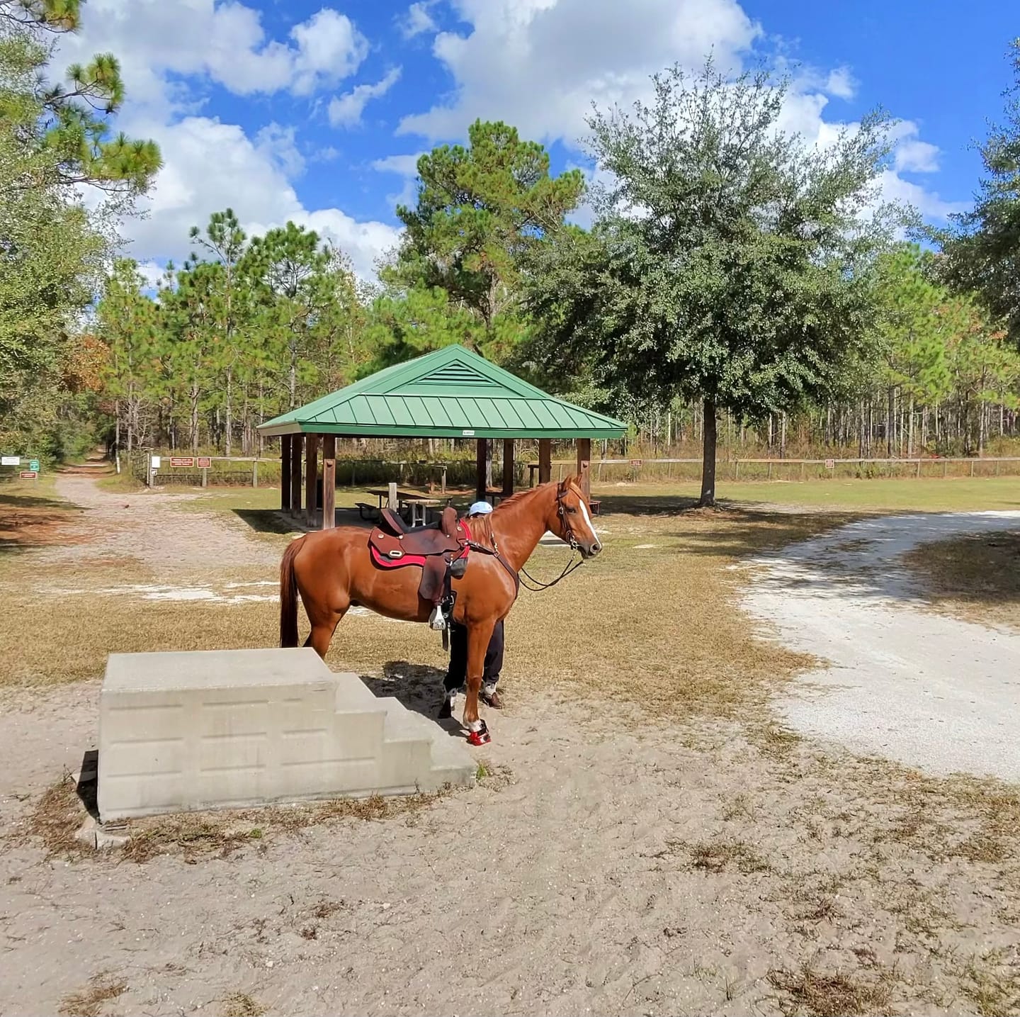 Customer photo review of Renegade® Viper Shield™ Hoof Boot Seconds - Dragon Fire Red