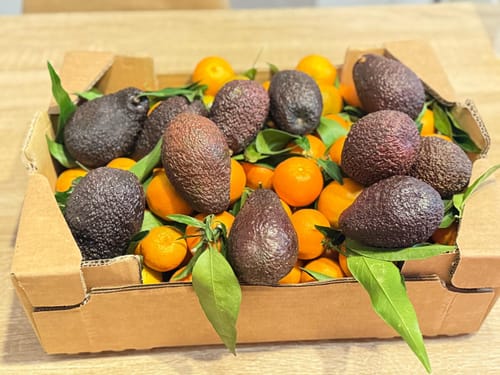 Sophie P. review of Clémentines Bio - Origine Corse image 1 out of 1