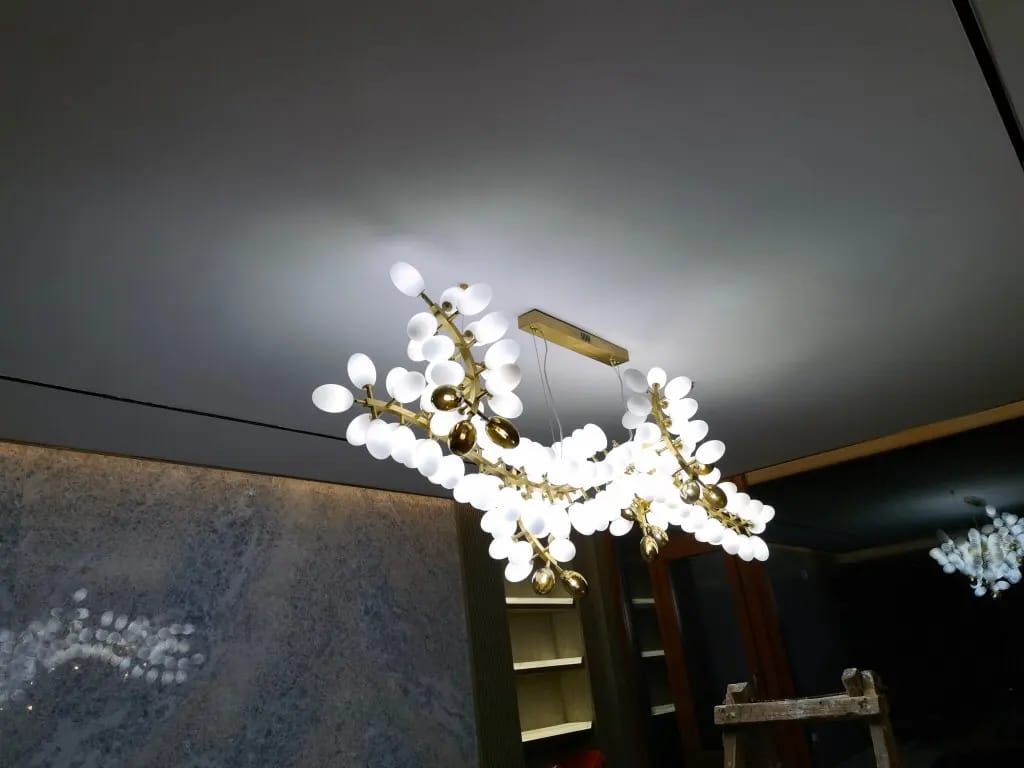Customer photo review of SPORE