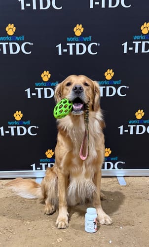 Customer photo review of 1-TDC Oral Health + Mobility Support for Cats & Dogs  4 Bottles (480 soft gels)