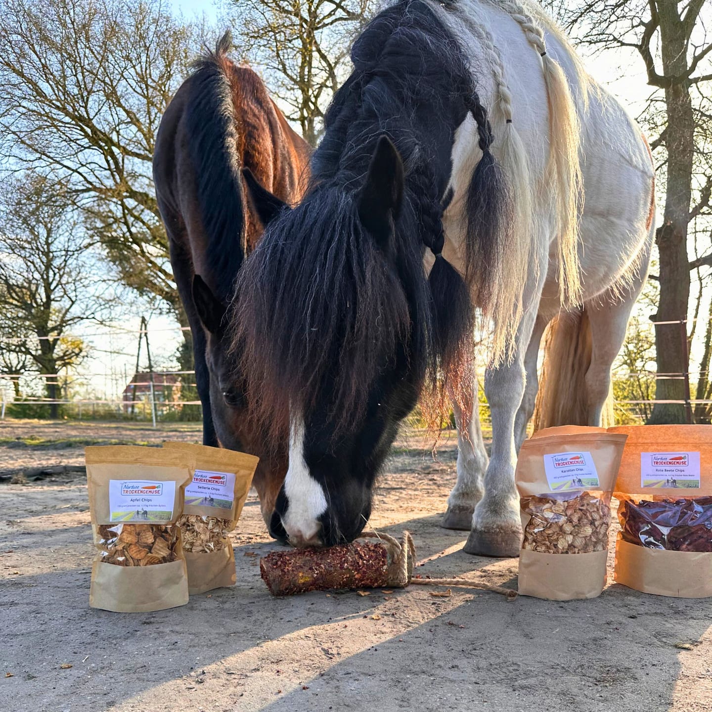 Customer photo review of Rundum-Sorglos-Paket