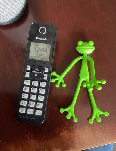 Customer photo review of Mamie-Frog® - Tuteur décoratif
