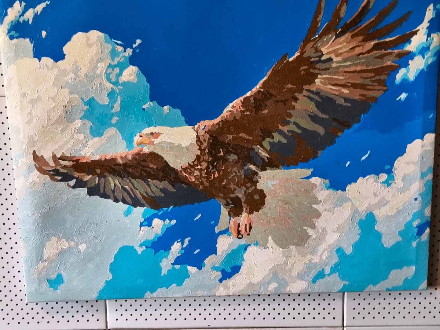 Customer photo review of Soaring Eagle