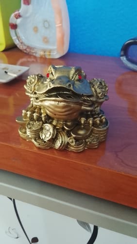 Customer photo review of Sapo del Dinero || Abundancia - Fortuna