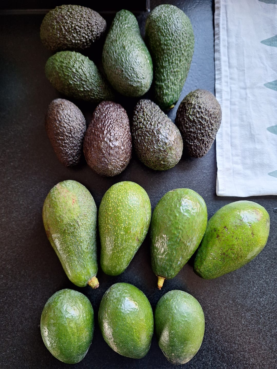 Customer photo review of Avocado-Mix von Julian Wochenaktion % 3kg