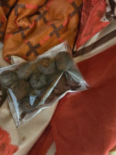 Customer photo review of Pure Rudraksha Fruits – Blessed by Nature, Cherished by Devotion