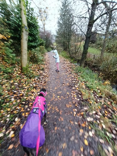 Customer photo review of Sighthound Escape Proof Harness