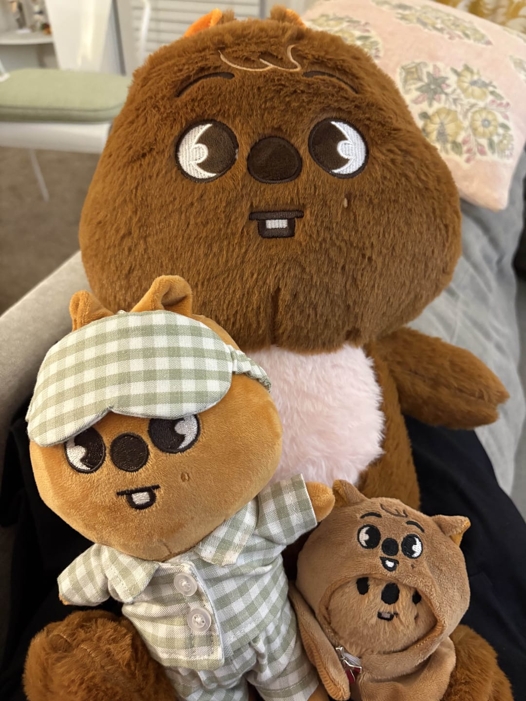 Customer photo review of SKZ Teddybear Plush