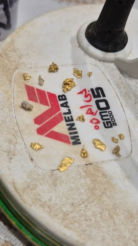 Customer photo review of Gold Monster 2000