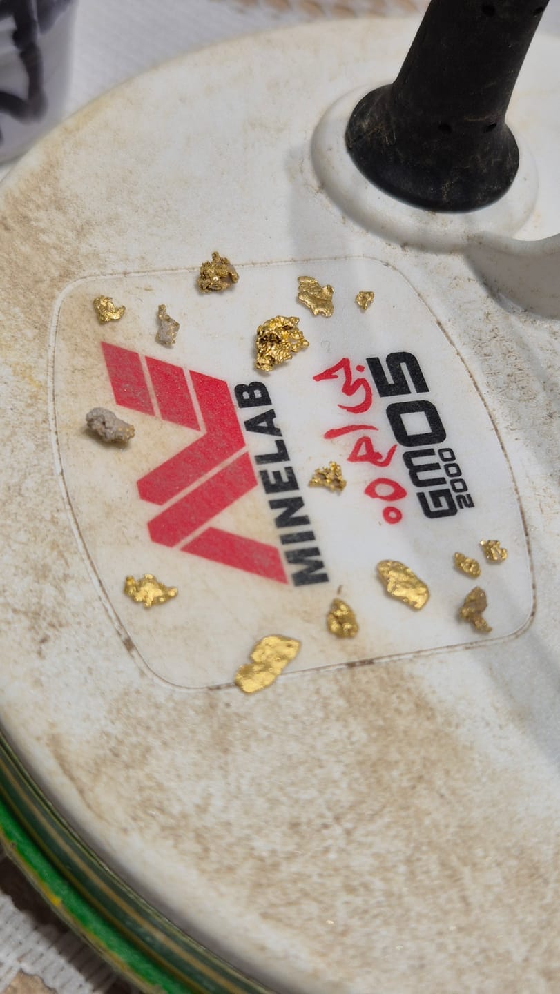 Customer photo review of Gold Monster 2000
