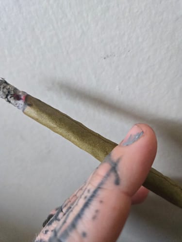 Customer photo review of Dank Spacecraft Exotic THCA Flower