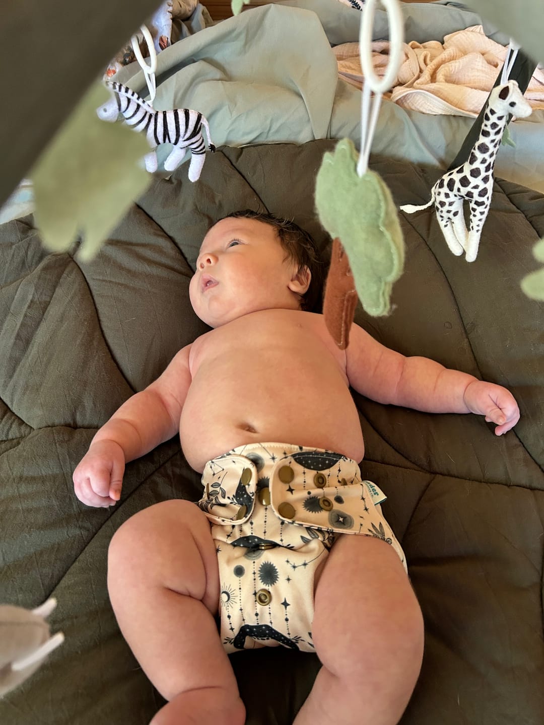 Customer photo review of Space and Sky: Essentials Pocket Cloth Diaper with Athletic Wicking Jersey, Grows with your Baby