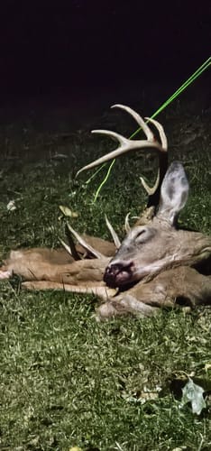 Customer photo review of Warranty Replacement - Beast Broadheads