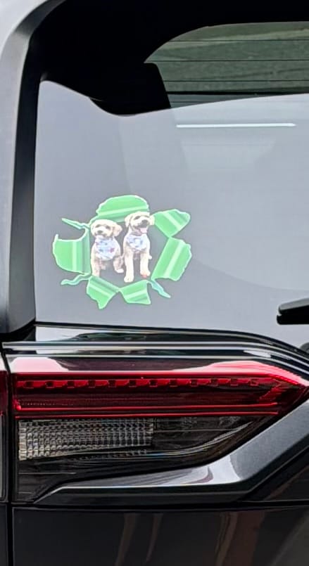 Customer photo review of Peeking photo – Personalized Car Sticker