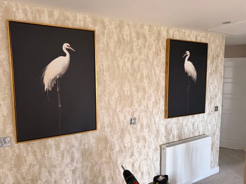 Customer photo review of Midnight Crane No2 Print