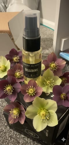 Customer photo review of 1OZ SAMPLE BODY OIL