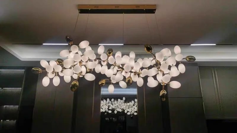 Customer photo review of SPORE