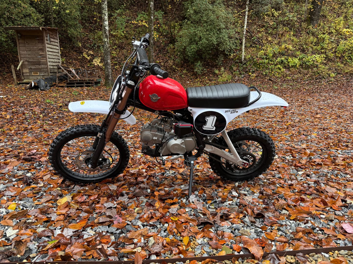 Customer photo review of Buscadero BSX 140 Pit Bike