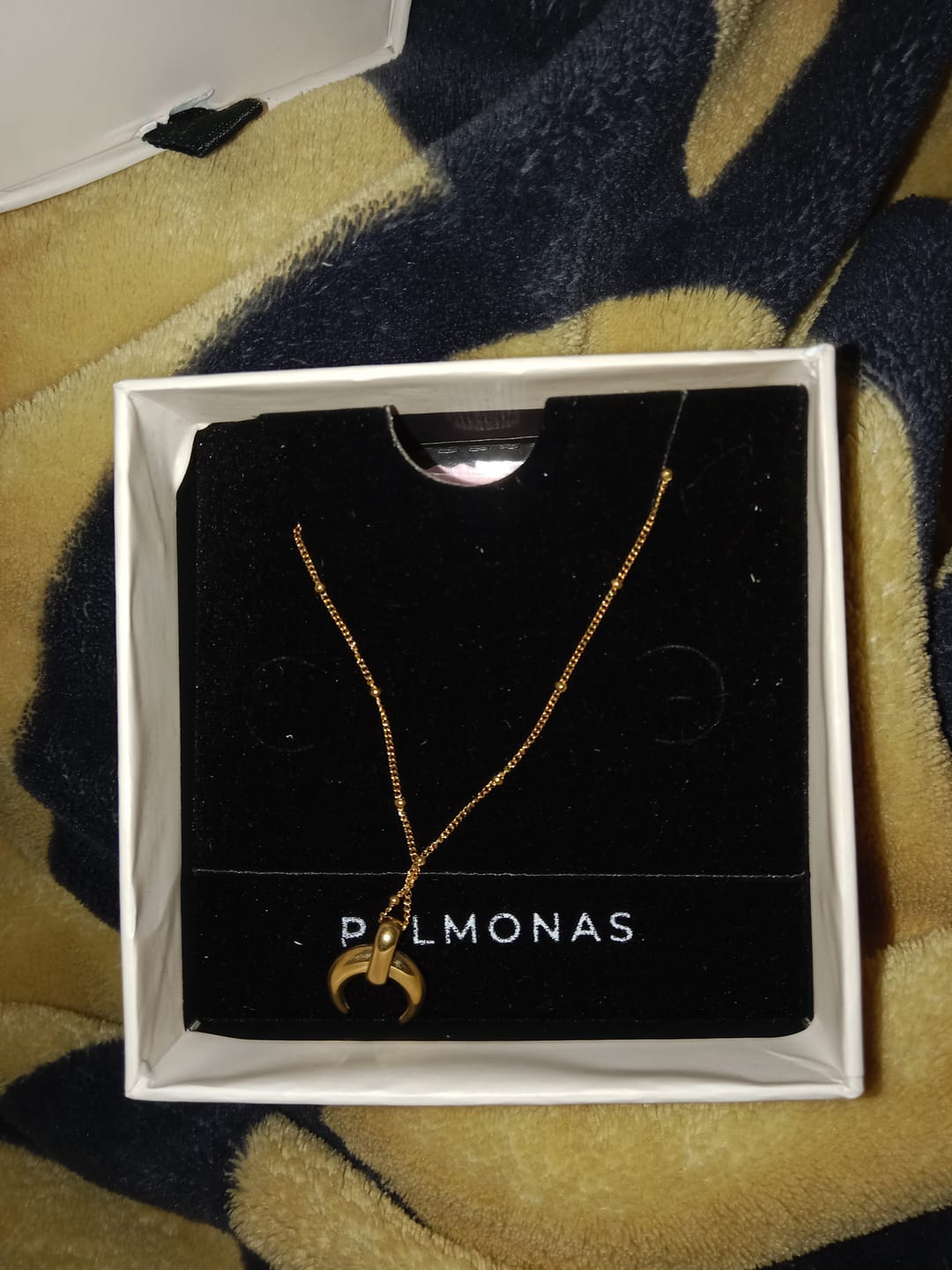 Customer photo review of Tiny Horn Necklace