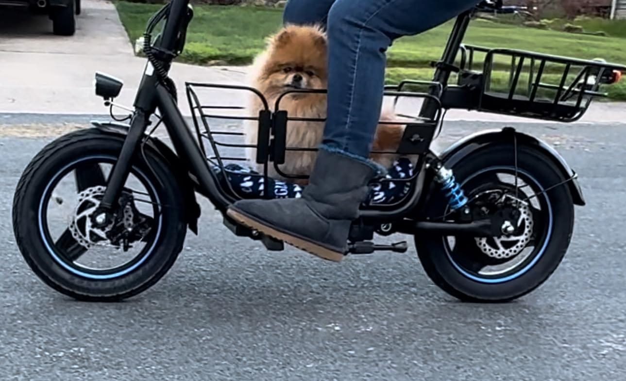 Customer photo review of Gyroor C1Plus Folding Electric Scooter with Seat-650W Motor, Large Storage & UL2272 Certified