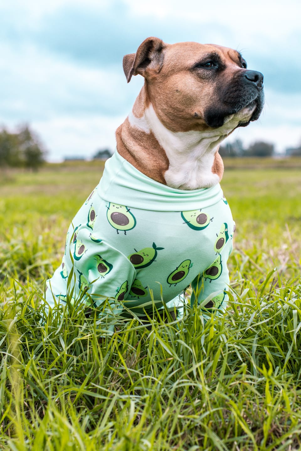 Customer photo review of Dog Pajama - Avocado