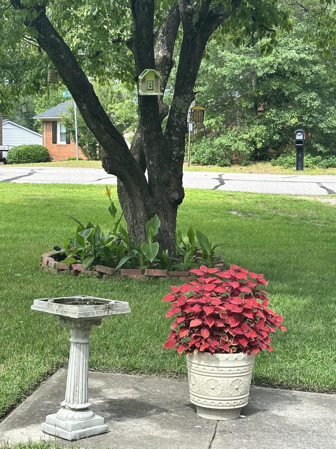 Customer photo review of Birdfy Feeder Metal - Smart Metal Feeder with Camera