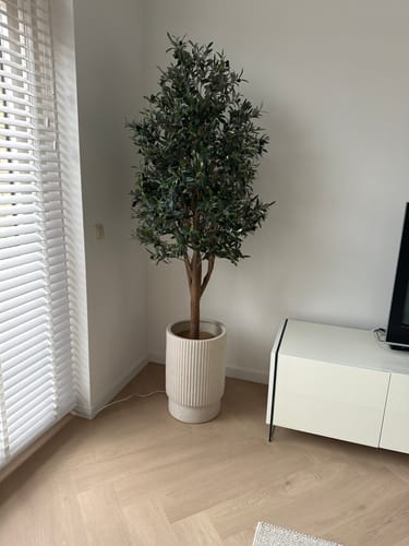 Customer photo review of Kunst Olijfboom 170cm Deluxe