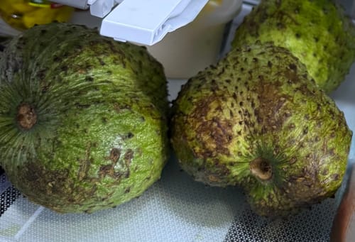 Customer photo review of Soursop