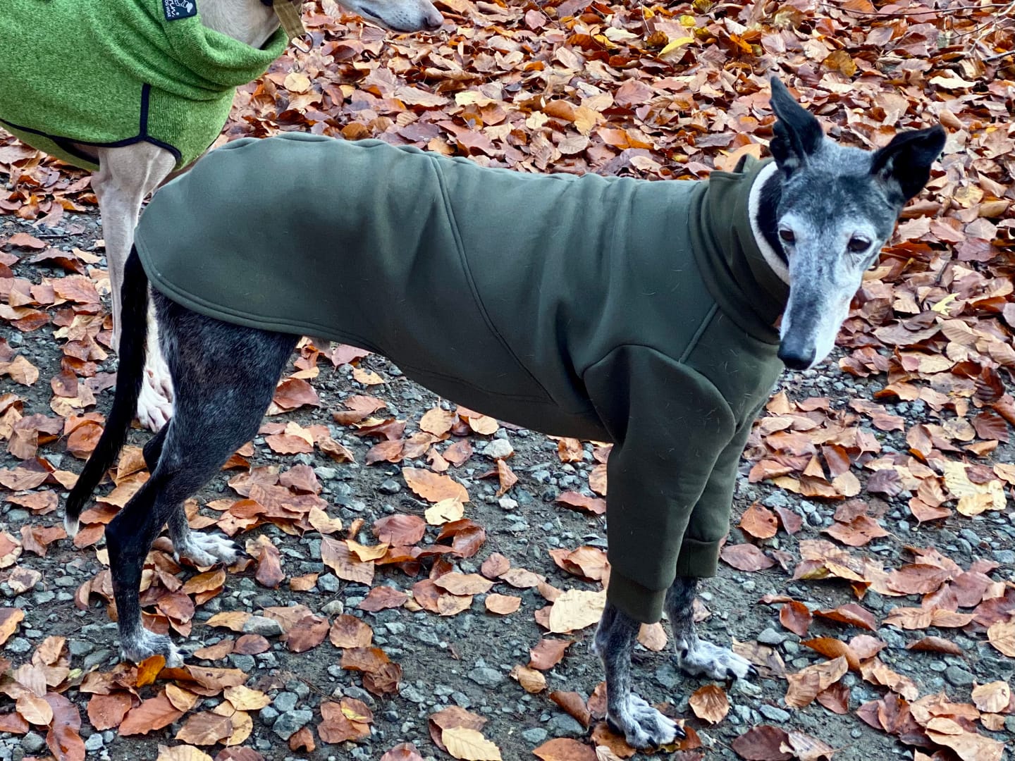 Customer photo review of Aspen "Mountain Green"