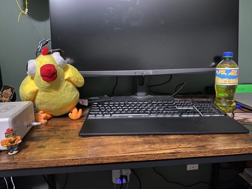 Customer photo review of Epic Minigames - Hen Herding Plushie