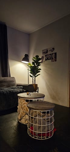 Customer photo review of Ficus Kunstplant 130cm