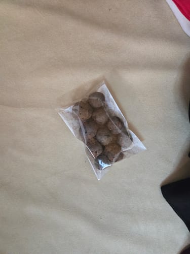 Customer photo review of Pure Rudraksha Fruits – Blessed by Nature, Cherished by Devotion