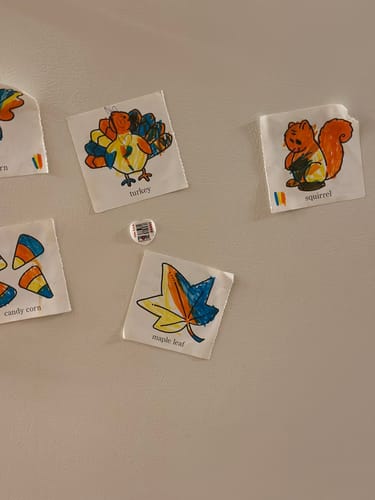 Customer photo review of Lavashak Lovers Box