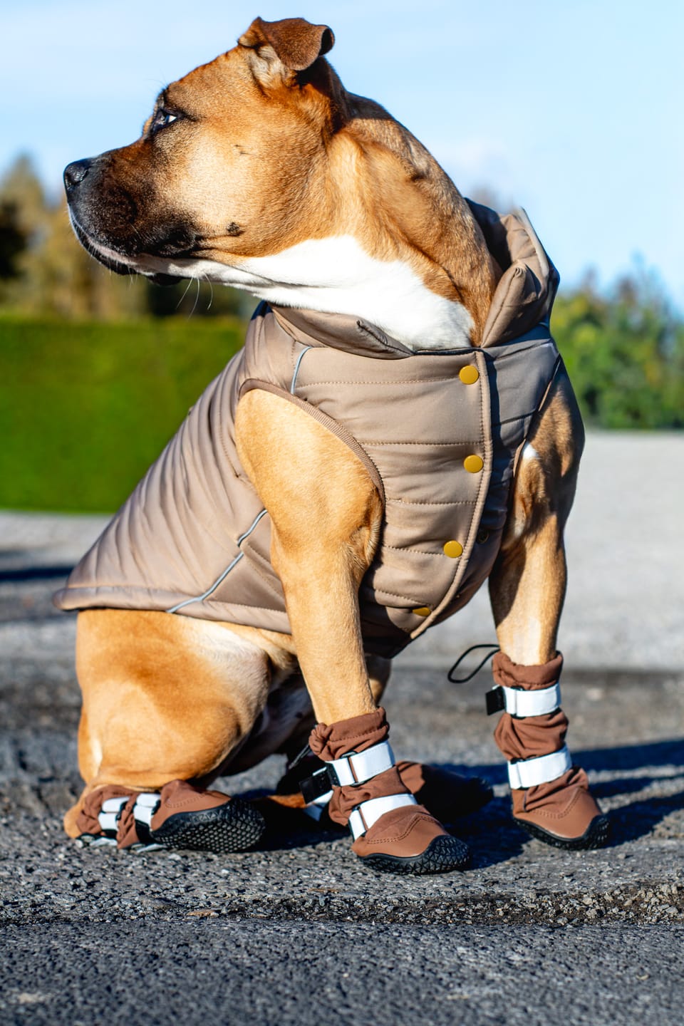 Customer photo review of WarmShield Water-Resistant Jacket - Tan