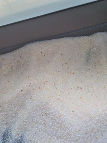 Customer photo review of 1 Month Supply – 1 Cat