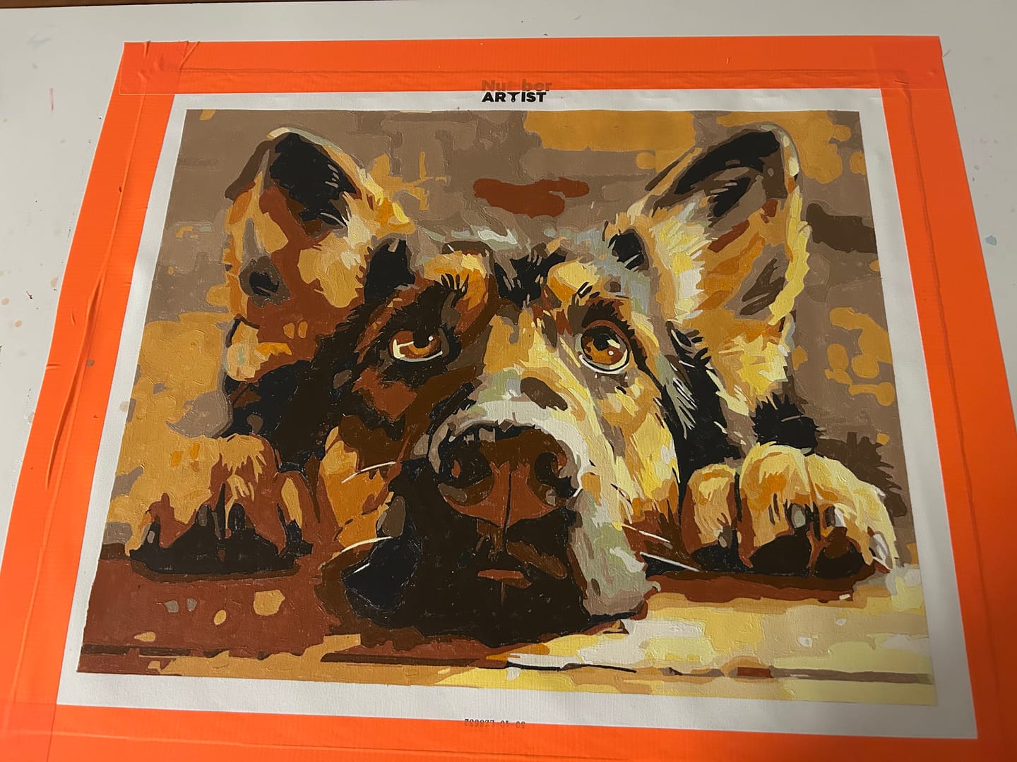 Customer photo review of Bored Shepherd