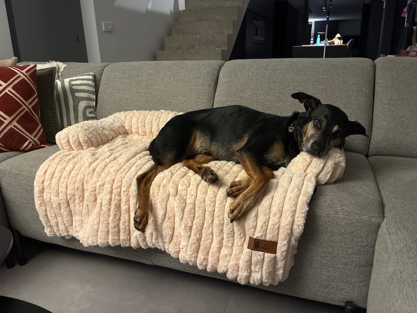 Customer photo review of Pet Perfect Luxe Hondendeken Bank - Bankbeschermer - Wasbaar