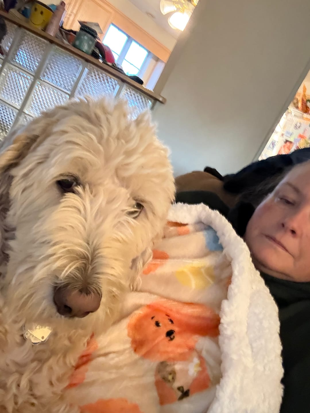 Customer photo review of Hooman Blankie - Curly Club Collection