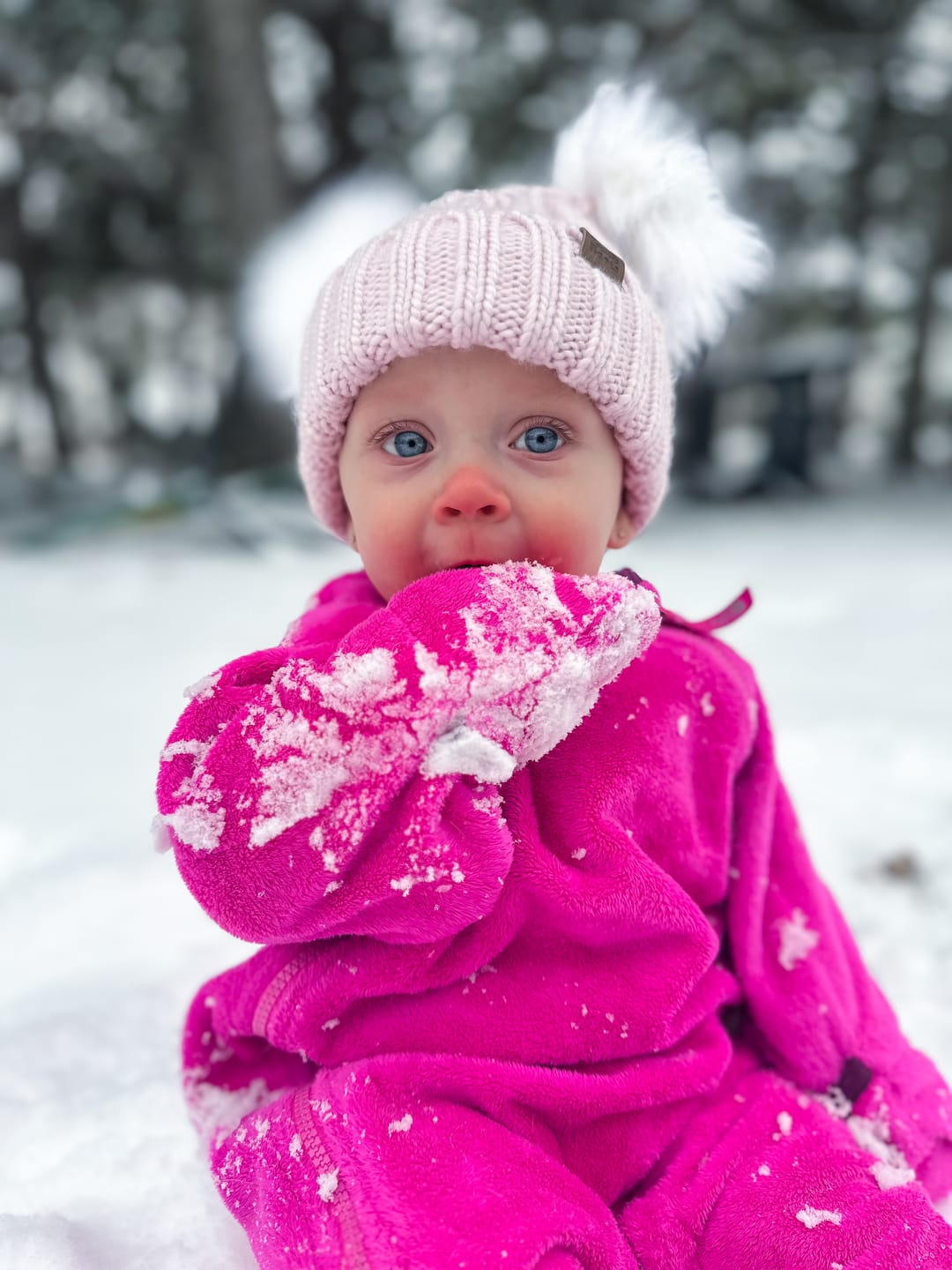 Customer photo review of The Winter Frost Preset Collection