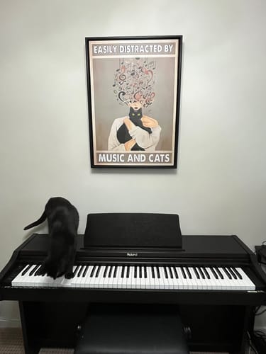Customer photo review of Music and Cats Print