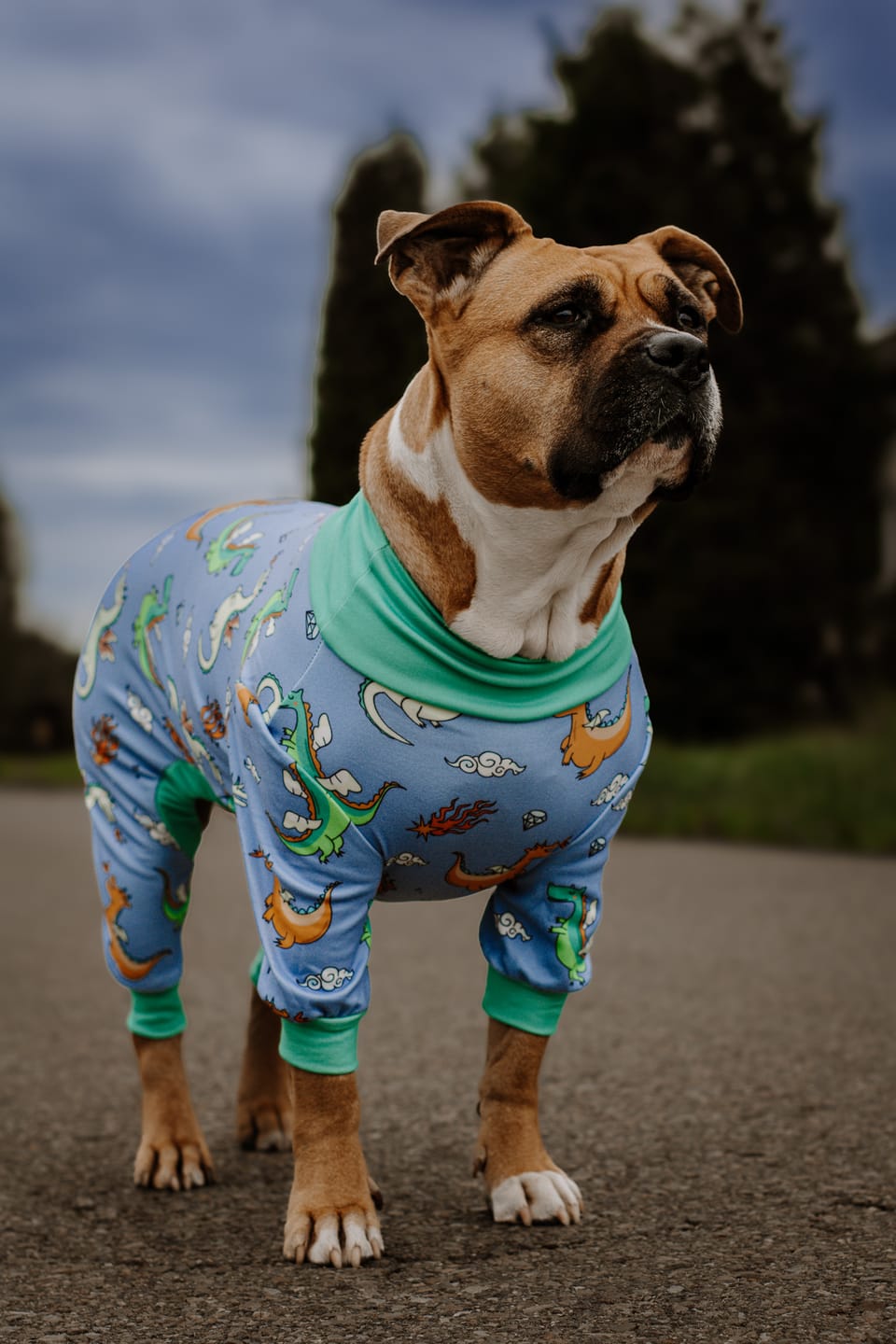 Customer photo review of Dog Pajama - Dragons