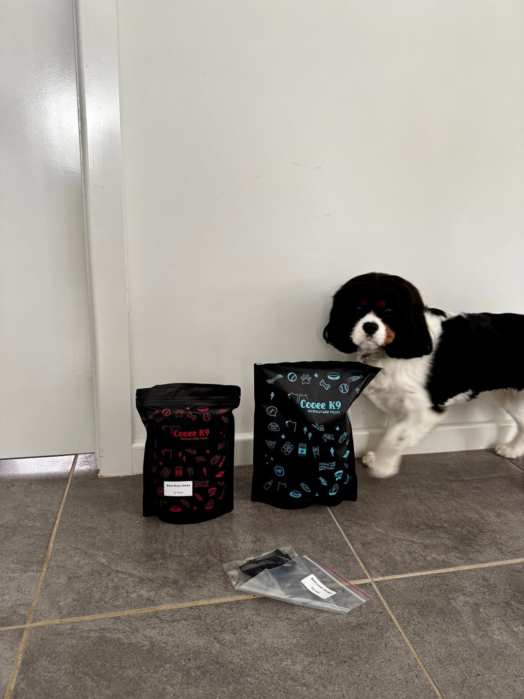Customer photo review of 6 Protein Trial Pack