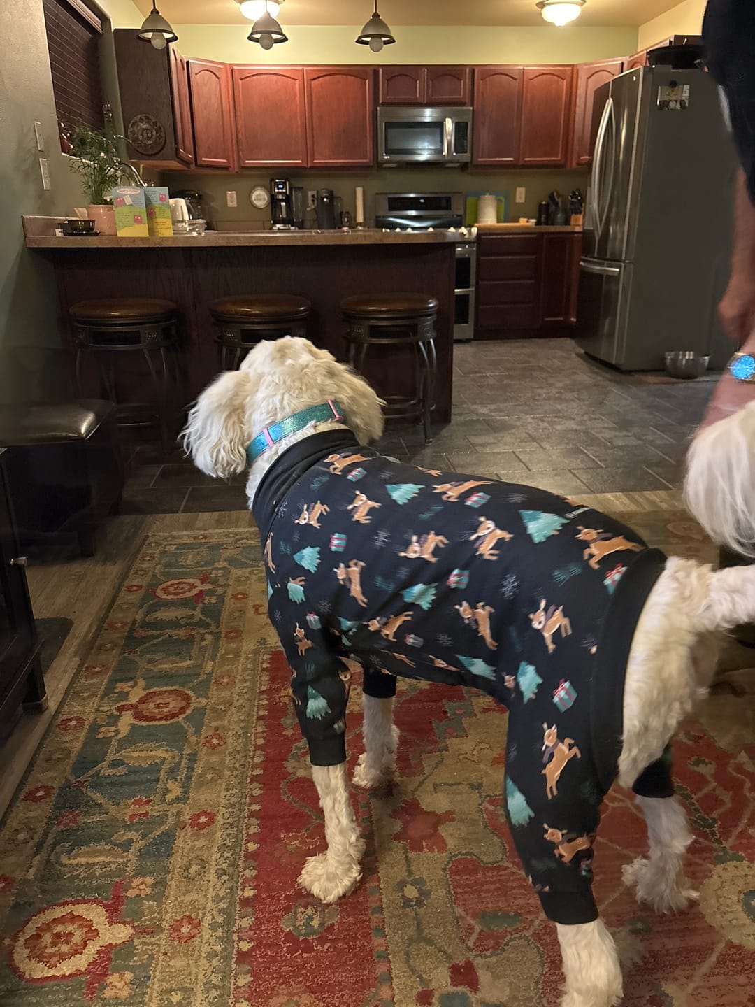 Customer photo review of Dog Christmas Pajama - Reindeers